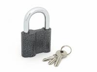 Продажа замок навесной "palladium" 601s-60 (3 ключа) в Тюмени  в интернет-магазине Vseizdereva